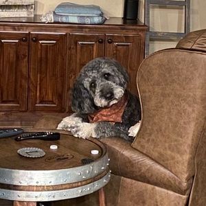 Meet your Posher, Michael